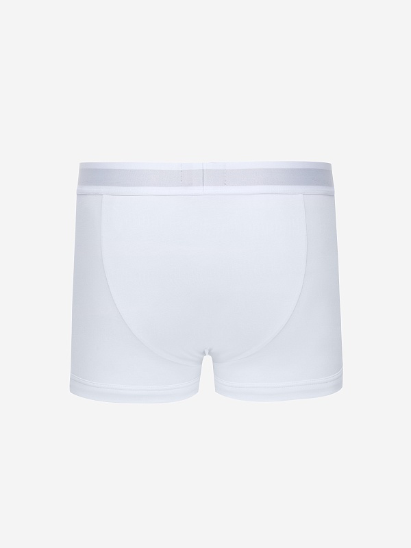 Трусы муж Emporio Armani EM000231 AF14133 U0002 WHITE - 1