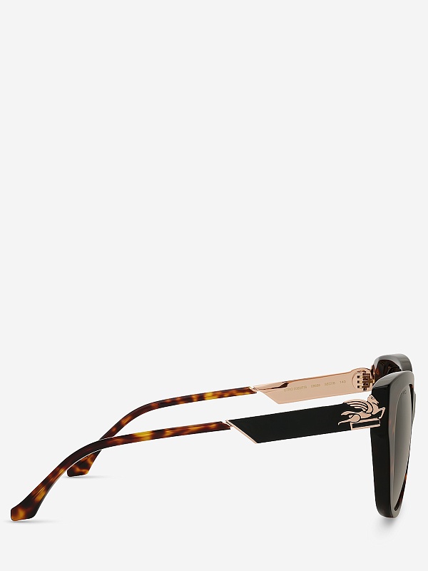 Солнцезащитные очки Etro ETRO 0062/F/S 086 86 55 18 140 - 2