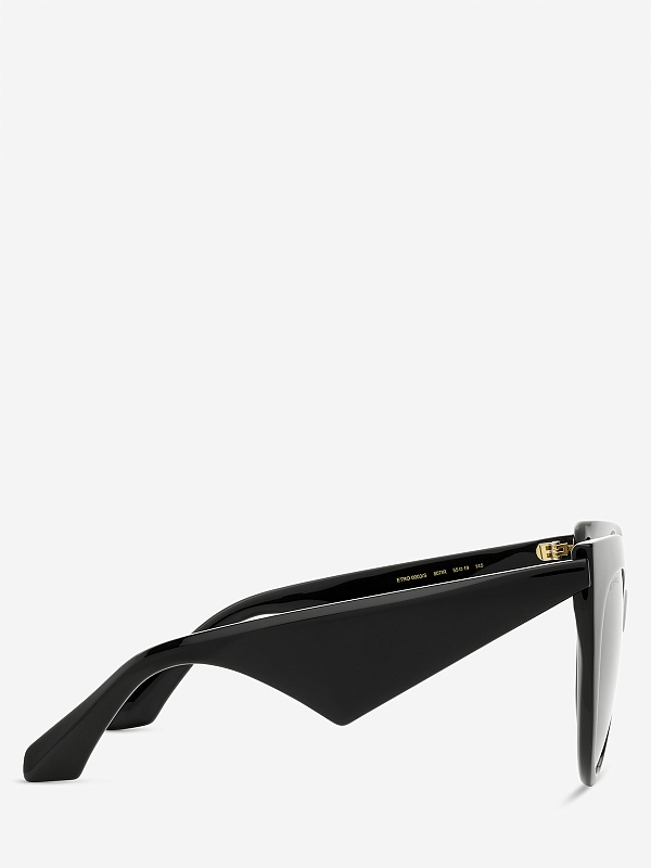 Солнцезащитные очки Etro ETRO 0003/S 807 IR 55 19 145 - 3