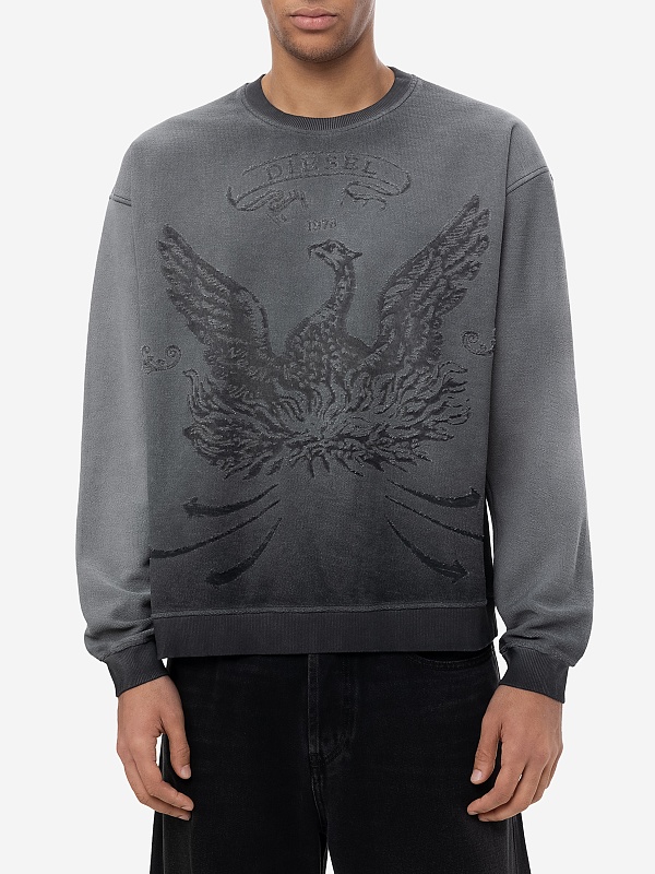 Толстовка муж Diesel A19289 0IKBV 93R - 2