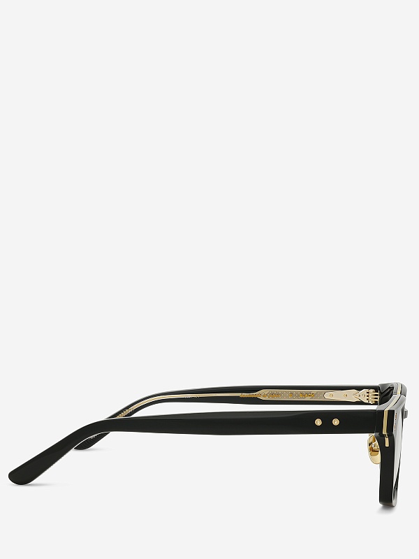 Оправа Leisure Society LS Equense fr Black 18K Gold 52 20 145 - 3
