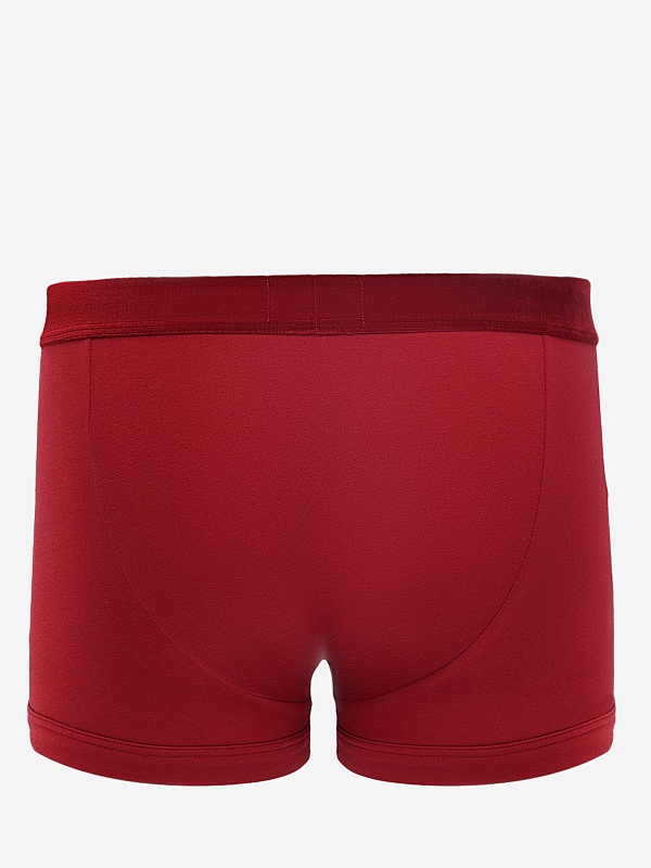 Набор (трусы 2 пары) муж Emporio Armani EM000253 AF15005 M5059 RHUBARB/ARMANI BLUE - 3