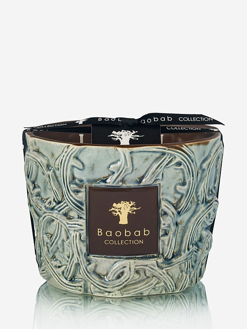 Свеча унисекс Baobab Collection 5415198523067 Brame Max 10 Sylvanus 500г - 0